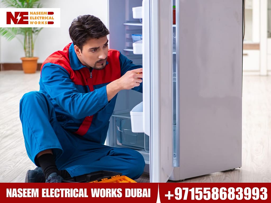 Fridge-repair-issues